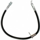 Purchase Top-Quality Rear Brake Hose by RAYBESTOS - BH382599 pa2