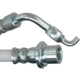 Purchase Top-Quality Rear Brake Hose by RAYBESTOS - BH382643 pa1