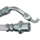 Purchase Top-Quality Rear Brake Hose by RAYBESTOS - BH382643 pa11