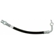 Purchase Top-Quality Rear Brake Hose by RAYBESTOS - BH382649 pa6