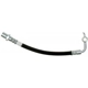 Purchase Top-Quality Rear Brake Hose by RAYBESTOS - BH382649 pa7