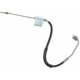 Purchase Top-Quality Rear Brake Hose by RAYBESTOS - BH382789 pa2
