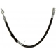 Purchase Top-Quality Rear Brake Hose by RAYBESTOS - BH382848 pa10