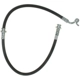 Purchase Top-Quality RAYBESTOS - BH382859 - Rear Brake Hose pa4