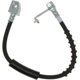 Purchase Top-Quality Rear Brake Hose by RAYBESTOS - BH382946 pa10