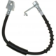 Purchase Top-Quality Rear Brake Hose by RAYBESTOS - BH382946 pa11