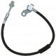 Purchase Top-Quality Rear Brake Hose by RAYBESTOS - BH383086 pa12