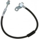Purchase Top-Quality Rear Brake Hose by RAYBESTOS - BH383086 pa9