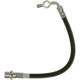 Purchase Top-Quality Rear Brake Hose by RAYBESTOS - BH383256 pa9