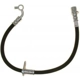Purchase Top-Quality Rear Brake Hose by RAYBESTOS - BH383259 pa10