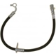 Purchase Top-Quality Rear Brake Hose by RAYBESTOS - BH383259 pa12