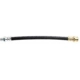Purchase Top-Quality Rear Brake Hose by RAYBESTOS - BH38336 pa1