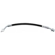 Purchase Top-Quality Rear Brake Hose by RAYBESTOS - BH383446 pa1