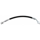 Purchase Top-Quality Rear Brake Hose by RAYBESTOS - BH383447 pa1