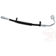 Purchase Top-Quality Rear Brake Hose by RAYBESTOS - BH383450 pa8