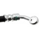Purchase Top-Quality Rear Brake Hose by RAYBESTOS - BH383504 pa8