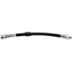 Purchase Top-Quality Rear Brake Hose by RAYBESTOS - BH383531 pa2
