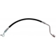 Purchase Top-Quality Rear Brake Hose by RAYBESTOS - BH383538 pa19