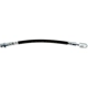Purchase Top-Quality Rear Brake Hose by RAYBESTOS - BH383551 pa17