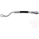 Purchase Top-Quality Rear Brake Hose by RAYBESTOS - BH383564 pa6