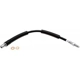 Purchase Top-Quality Rear Brake Hose by RAYBESTOS - BH383599 pa19