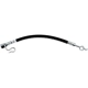 Purchase Top-Quality RAYBESTOS - BH383634 - Rear Brake Hose pa11