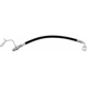 Purchase Top-Quality Rear Brake Hose by RAYBESTOS - BH383656 pa1