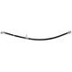 Purchase Top-Quality Rear Brake Hose by RAYBESTOS - BH383816 pa1