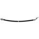 Purchase Top-Quality Rear Brake Hose by RAYBESTOS - BH383840 pa1