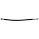 Purchase Top-Quality Rear Brake Hose by RAYBESTOS - BH383846 pa1