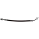 Purchase Top-Quality Rear Brake Hose by RAYBESTOS - BH383878 pa2