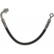 Purchase Top-Quality Rear Brake Hose by RAYBESTOS - BH384021 pa3