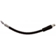 Purchase Top-Quality Rear Brake Hose by RAYBESTOS - BH384143 pa4
