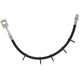 Purchase Top-Quality Rear Brake Hose by RAYBESTOS - BH384167 pa4
