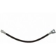 Purchase Top-Quality Rear Brake Hose by RAYBESTOS - BH384176 pa4