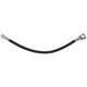 Purchase Top-Quality Rear Brake Hose by RAYBESTOS - BH384176 pa9