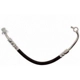 Purchase Top-Quality Rear Brake Hose by RAYBESTOS - BH384275 pa8
