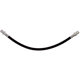 Purchase Top-Quality Rear Brake Hose by RAYBESTOS - BH384349 pa10