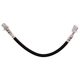 Purchase Top-Quality Rear Brake Hose by RAYBESTOS - BH384350 pa1
