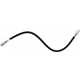 Purchase Top-Quality Rear Brake Hose by RAYBESTOS - BH384351 pa4