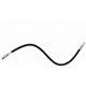 Purchase Top-Quality Rear Brake Hose by RAYBESTOS - BH384351 pa6
