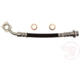 Purchase Top-Quality Rear Brake Hose by RAYBESTOS - BH384359 pa1