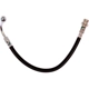 Purchase Top-Quality Rear Brake Hose by RAYBESTOS - BH384383 pa7