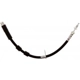 Purchase Top-Quality Rear Brake Hose by RAYBESTOS - BH384408 pa4