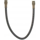 Purchase Top-Quality Rear Brake Hose by RAYBESTOS - BH38605 pa11