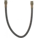 Purchase Top-Quality Rear Brake Hose by RAYBESTOS - BH38605 pa12