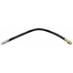 Purchase Top-Quality Rear Brake Hose by RAYBESTOS - BH38686 pa1