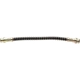 Purchase Top-Quality Rear Brake Hose by RAYBESTOS - BH38800 pa1