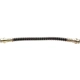 Purchase Top-Quality Rear Brake Hose by RAYBESTOS - BH38800 pa2