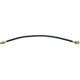 Purchase Top-Quality Rear Brake Hose by RAYBESTOS - BH38823 pa4